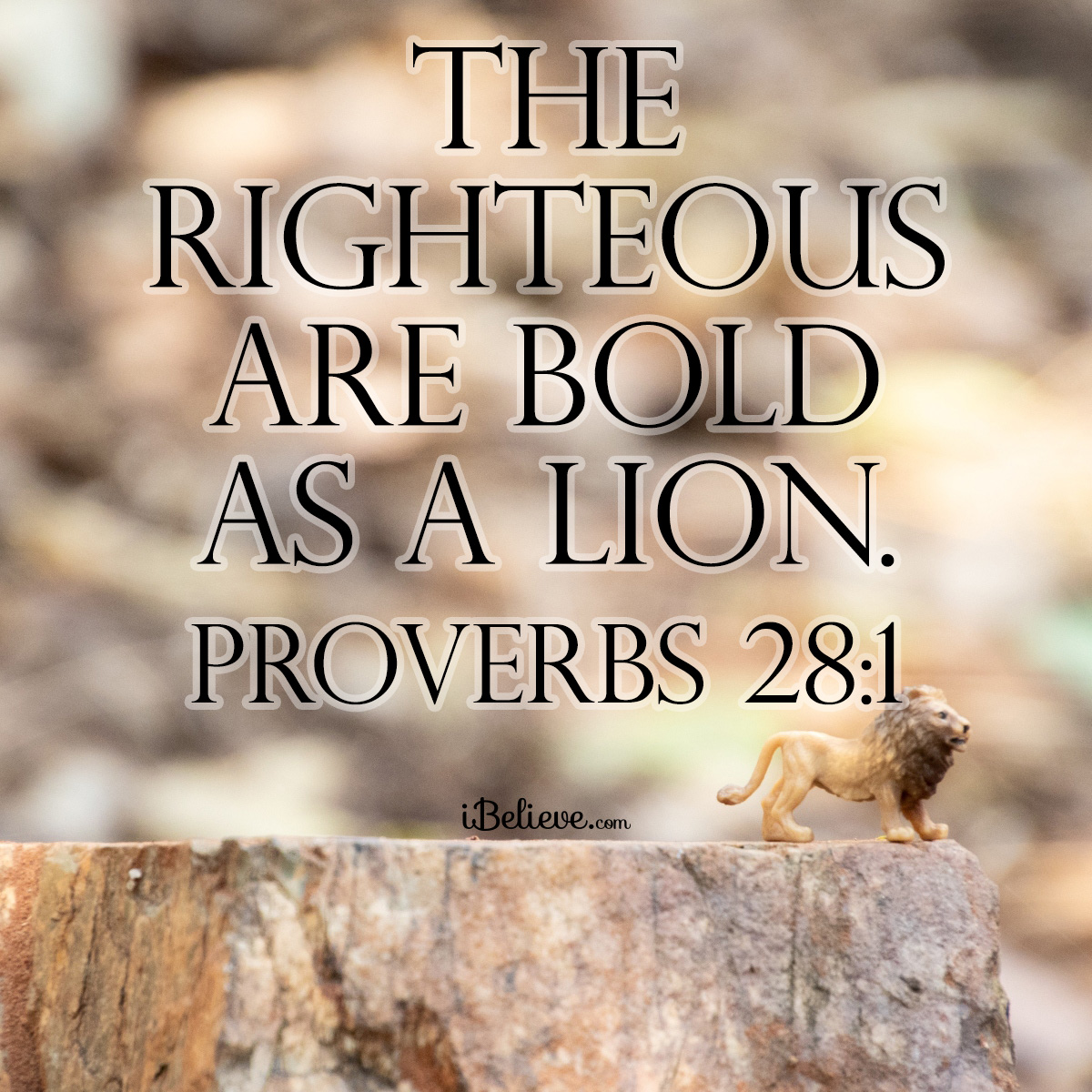 Proverbs 28:1